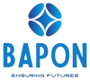 BAPON IT SERVICES LTD Logo