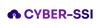 Cyber-ssi Logo