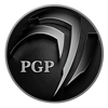PGP-AI Logo