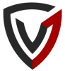 Vee 7 Information Technology LLC Logo