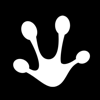 Sticky Frog Logo