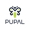 Pupal Agency Logo