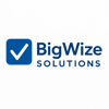 BigWize Solutions Logo