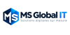 MS Global IT Logo