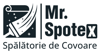 Mr. Spotex Logo