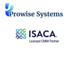 Prowise Systems Logo