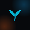 Whale Digital Consulting Logo