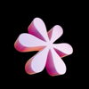 wappy Logo