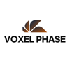 Voxel Phase Logo