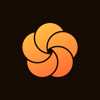 Rosefall Logo