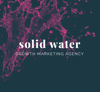 Solid Water Marketing Agency Logo
