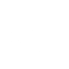 Onyx Painters Logo