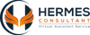 Hermes Consultant Logo