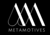Metamotives Infotech Solutions Logo