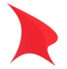 Reveal Web Services Logo