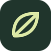 Algea Logo