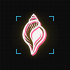 SHANKH Studio Logo