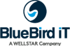 BlueBird iT Solutions Inc Logo
