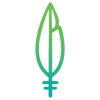 Tomahawk Logo