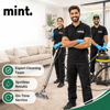 Mint Sanitary Wipes Logo