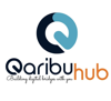 Qaribuhub Solutions LTD Logo