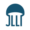 Jellylogic Solutions Logo