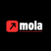 Mola Marketing & Inteligencia Empresarial Logo