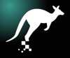 Digiruu Logo