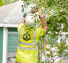 Total Control Tree Service Logo