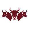 Three Bulls Logo