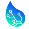 Mycelium 365 Logo