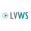 Las Vegas Website Solutions Logo