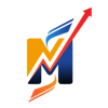 Meinstyn Solutions Logo