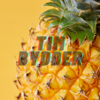 Tim Bydder Logo