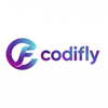 CodiFly IT Solutions Logo