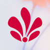 Floreo Agency Logo