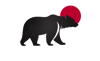Bear Systems Logo