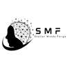 Stellar Minds Forge Logo