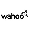 Wahoo Group Logo