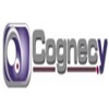 Cognecy Solutions Logo