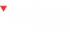 Torso Healthcare Logo