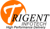 Trigent Infotech Pvt. Ltd. Logo