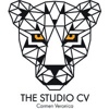 The Studio CV Logo