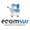 Ecomsur Logo
