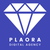 Plaora Digital Agency Logo