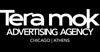 TERAMOK LLC Logo