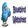 Bluebird Websites Logo