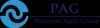 Princeton Audit Group - PAG Logo