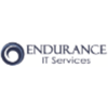 Endurance IT Services Logo