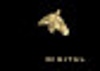Equine Digital Logo